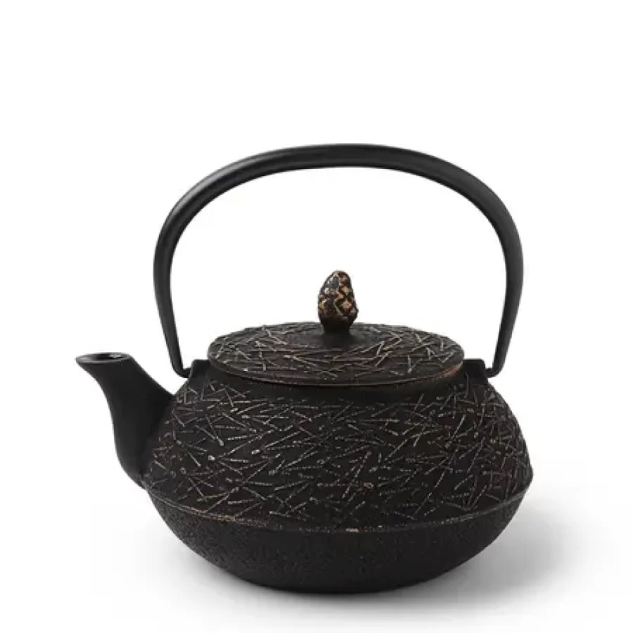 Miya Company Cast Iron Teapot - 0.65L Japanese Style Iron Teapot for Loose Leaf Tea