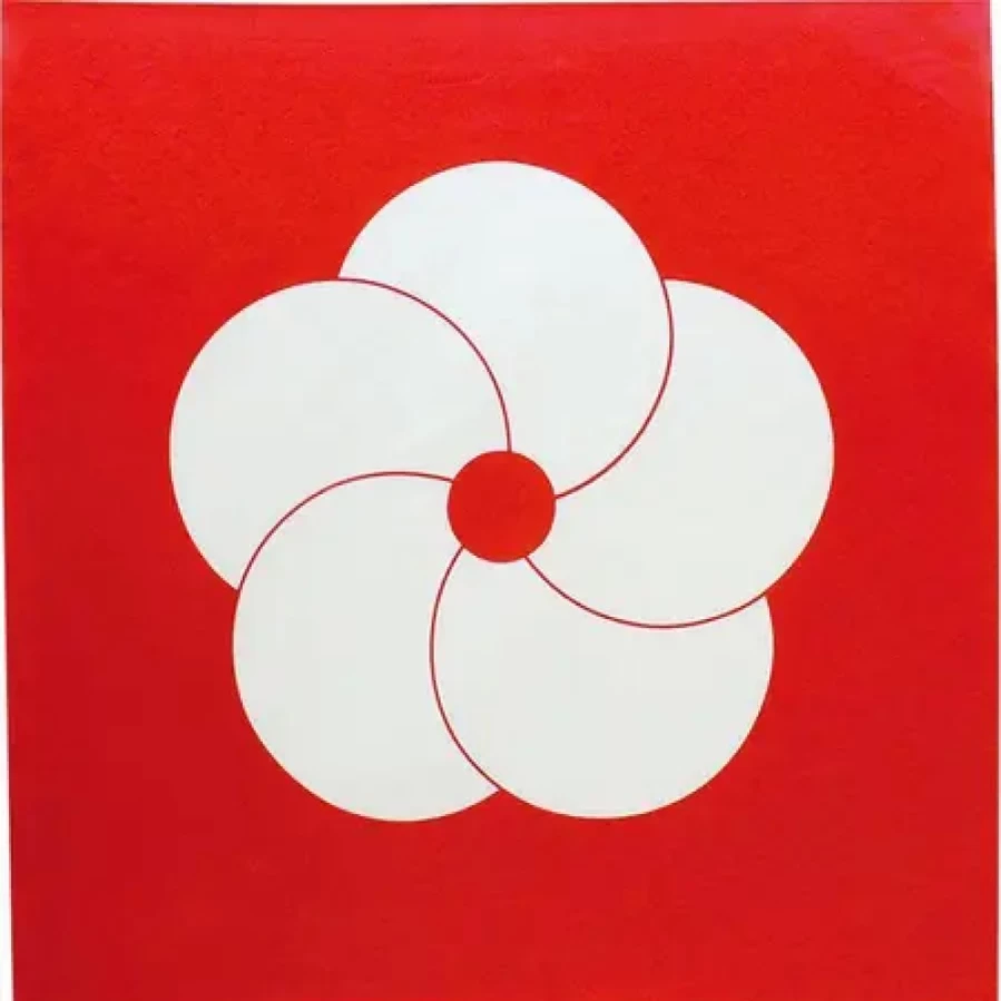 Miya Company Red Floral Furoshiki Wrapping Cloth - 27.5 Inch Square Japanese Traditional Gift Wrap