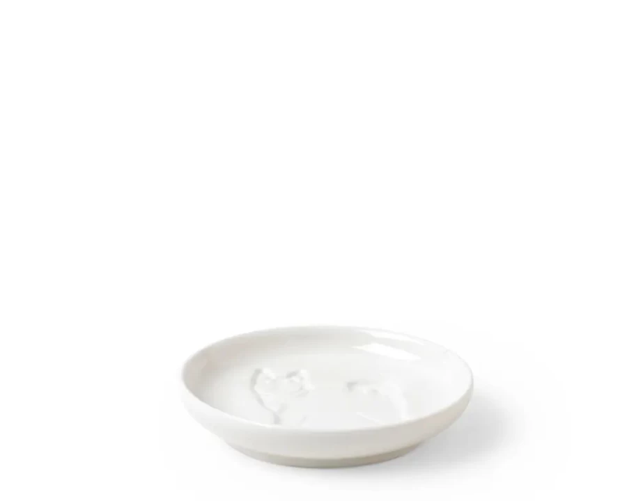 Miya Company Elevated Dog Sauce Dish - Non-Slip Standing Pet Food Bowl for Mess-Free Feeding