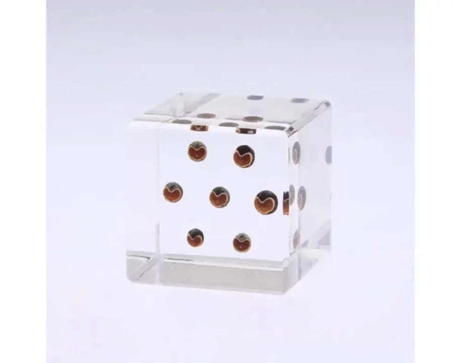 Miya Company Sola Cube Preserved Balloon Flower - Unique Eco-Friendly Home Decor Gift