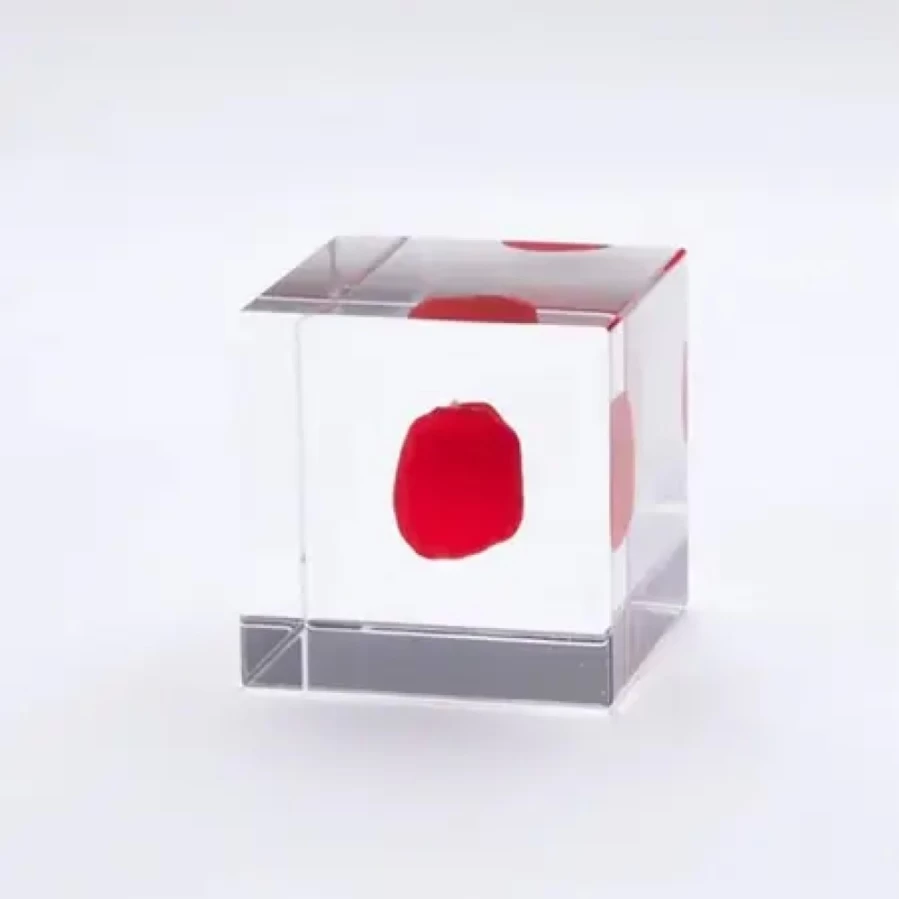 Miya Company Sola Cube with Natural Huayruro Seed - Handmade Eco-Friendly Home Decor