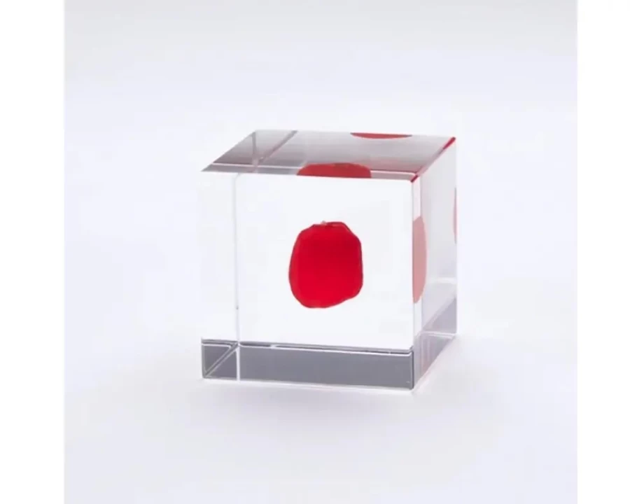 Miya Company Sola Cube with Natural Huayruro Seed - Handmade Eco-Friendly Home Decor